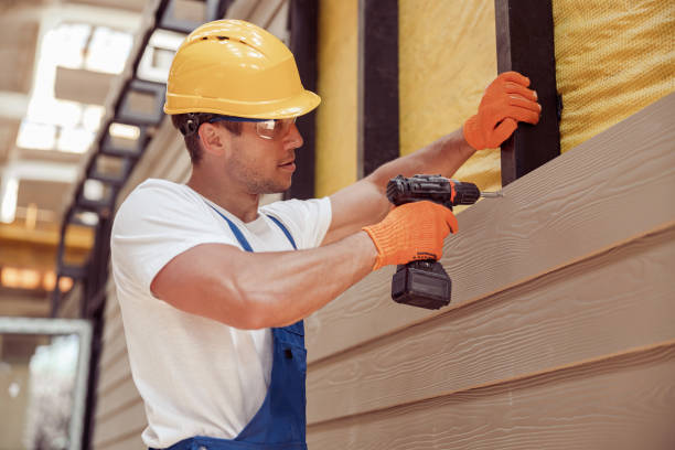 Best Insulated Siding Installation  in Brownsburg, IN